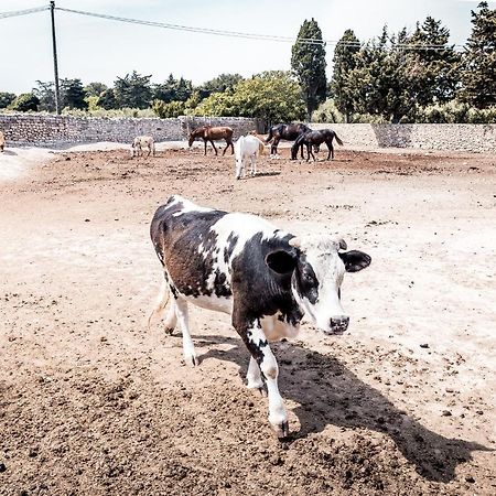 Masseria Prosperi Alimini Bagian luar foto