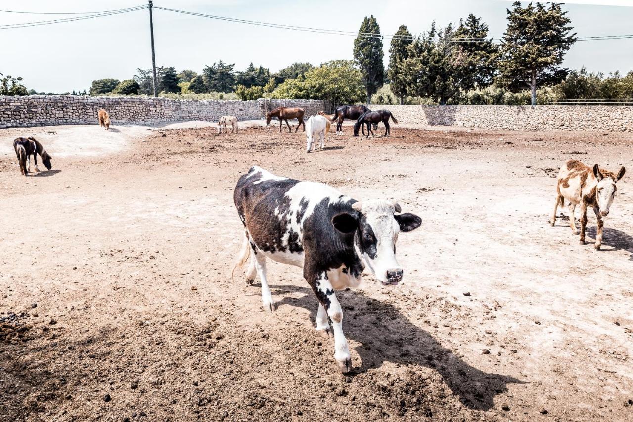 Masseria Prosperi Alimini Bagian luar foto