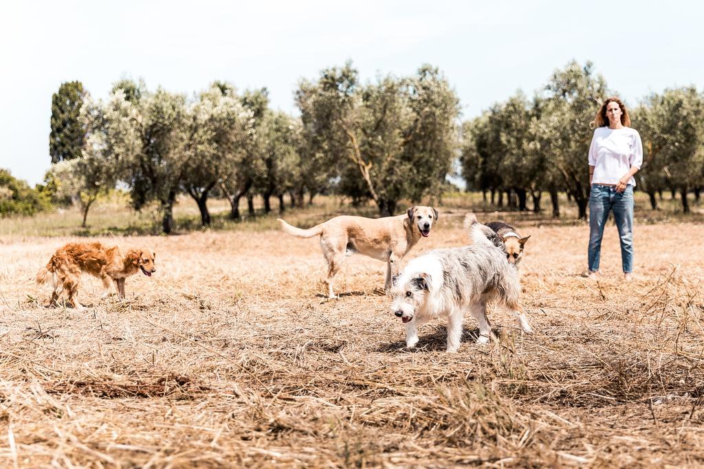 Masseria Prosperi Alimini Bagian luar foto