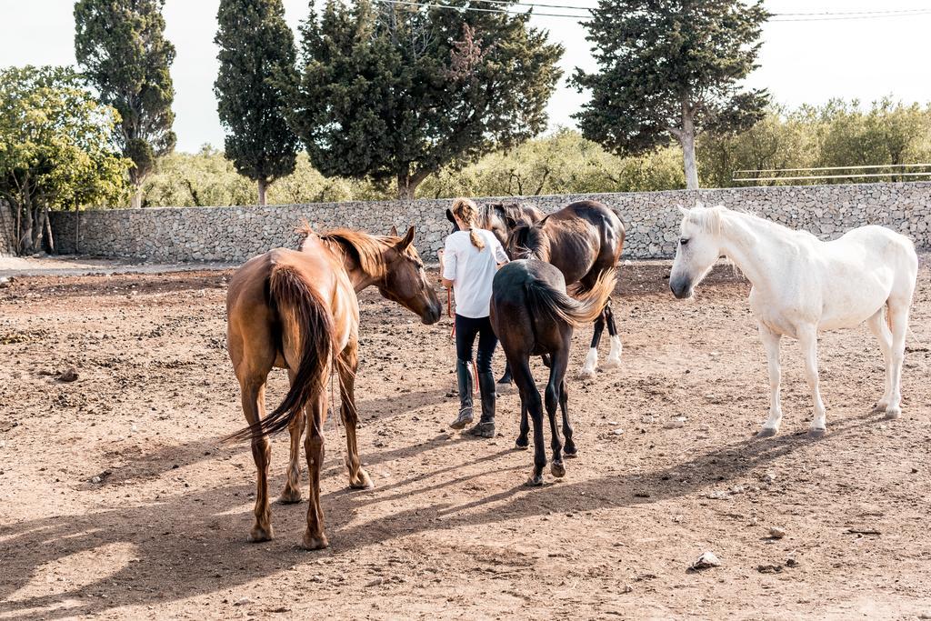 Masseria Prosperi Alimini Bagian luar foto